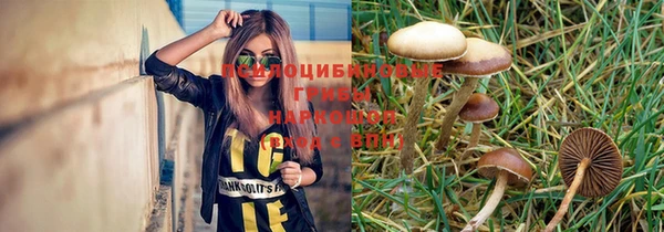 стаф Абаза