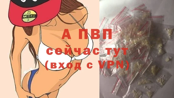 стаф Абаза