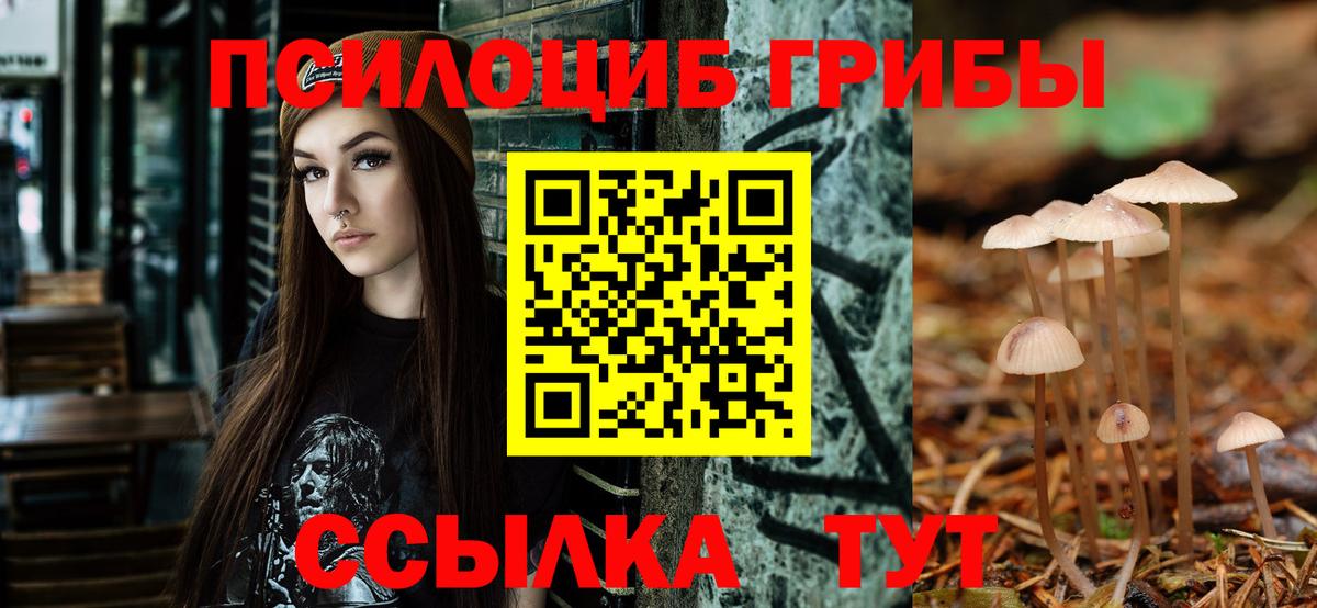 Галлюциногенные грибы MAGIC MUSHROOMS Клинцы