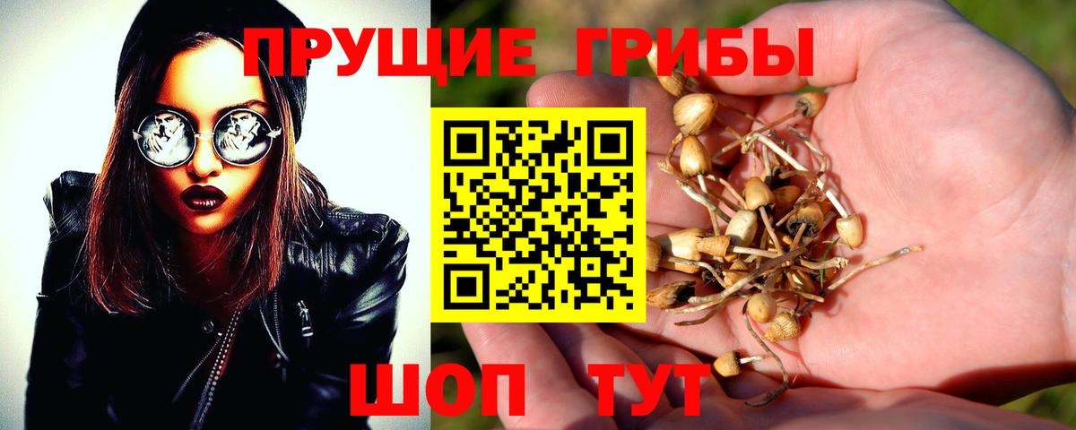 Псилоцибиновые грибы мухоморы  Вход с VPN  Клинцы 